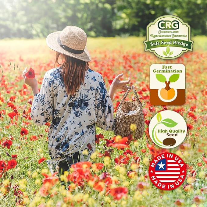 Parade of Poppy Wildflower Seeds - 1oz, Open-Pollinated Flower Seed Mix Packets, No Fillers, Annual, Perennial Wildflower Seeds, Year Round Planting - 1 oz (Pack of 2)