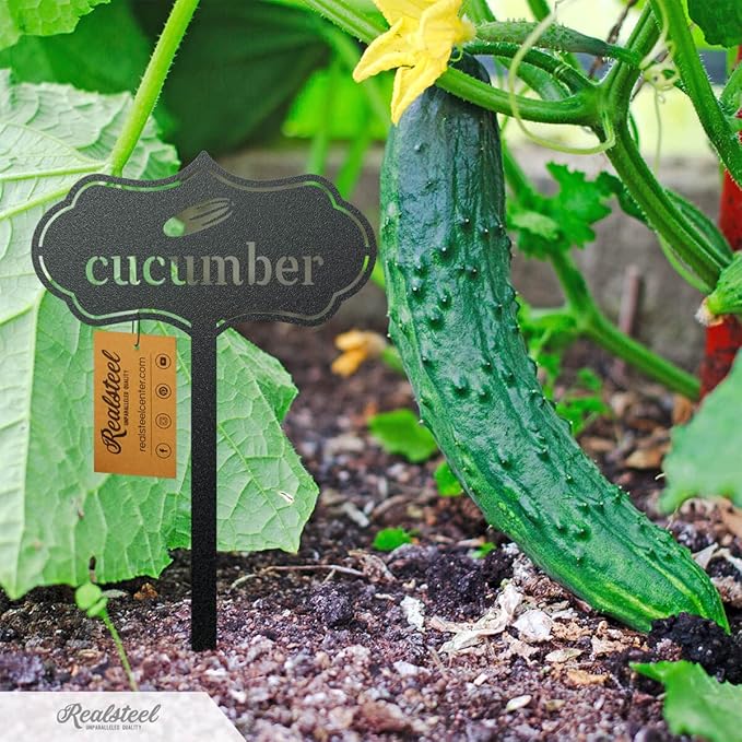 RealSteel - Seed & Plant Markers - Indoor/Outdoor Herb Garden Stakes - Elegant Fruit/Vegetable Seed Labels - Durable Plant Tags for Pots - Classy Design for Farmhouse/Greenhouse (Artichoke)