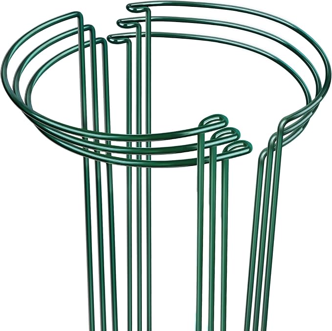 LEOBRO Plant Support Stakes, 6 PCS Peony Cages and Supports, Plant Stakes for Indoor Plants, Outdoor Plants, Monstera Tomato Hydrangea Support Cage, 10" W x 15.8" H