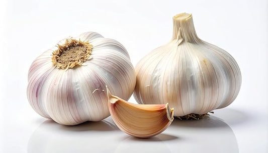 Softneck Garlic Bulbs for Planting - California Garlic to Grow at Home (2 Seed Bulbs)