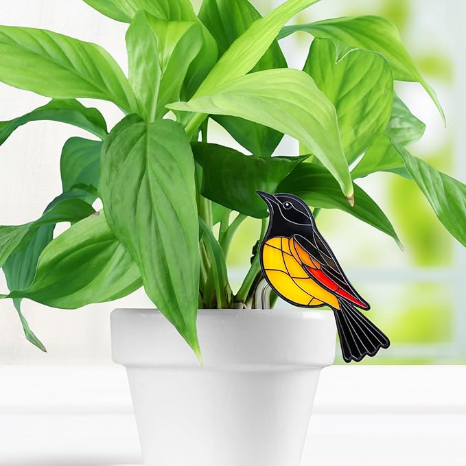 Hanging Planters for Indoor Outdoor Plants – Hummingbird Design Hanging Plant Pots, Rustic Farmhouse Garden Decor for Porch Balcony Yard, Decorative Flower Baskets & Unique Gifts for Mom(1)