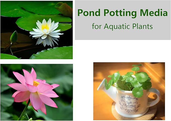 Natural Lotus Pond Mud for Bonsai Lotus Flower Planting, Garden Nutrient Soil Using for Water Lily and Water Plant, Pond Potting Media for Aquatic Plant (1BAG)