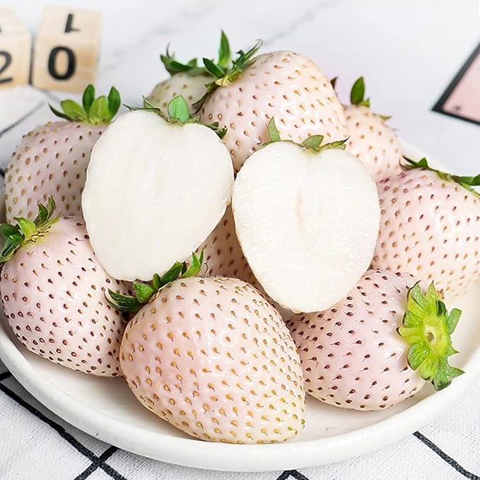 Mixed Strawberry Seeds for Planting, 500 Seeds with Red and White Strawberries and Raspberry Varieties for Home Gardens