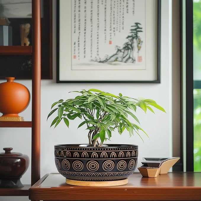 Ceramic Bonsai Pots - 8 Inch Plant Pot for Succulent, Round Planter for Indoor Plants, Shallow Planters with Drainage Hole and Tray, Boho Bonsai Bowl, Living Room Decor, Black