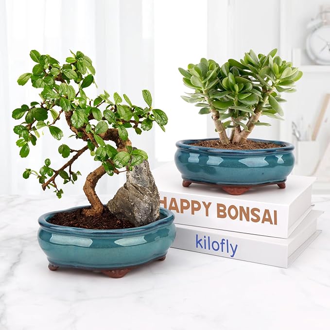 Bonsai Planter 5.7" Small Succulent Glazed Pots Set of 2 + 6 Soft Mesh Drainage Screens
