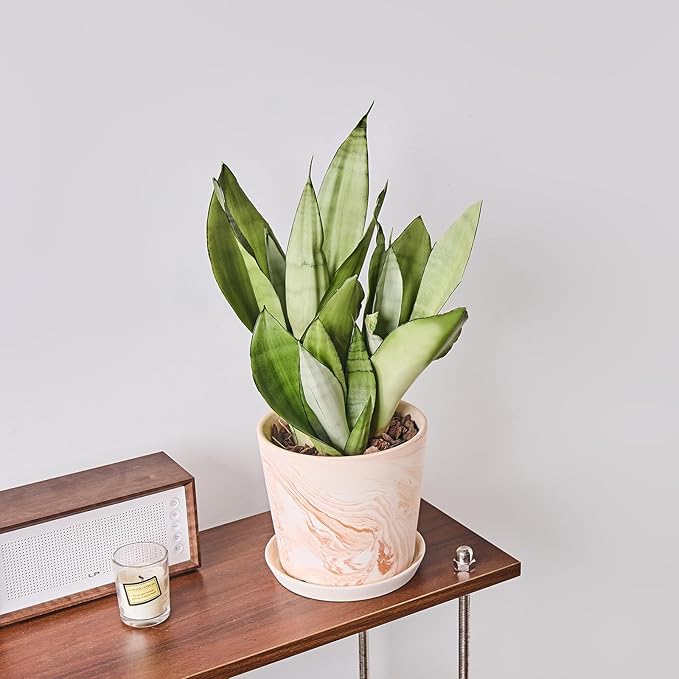 6 in Flower Planters Indoor, Modern Red Terra Cotta Plant Pot, Succulents Containers with Drain Hole Saucer, Decorate Home, Office, Outdoor/Garden Plants