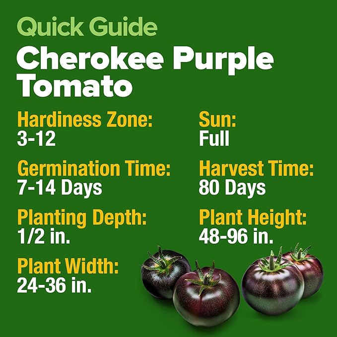 HOME GROWN Cherokee Purple Tomato Seeds 1 Pack (Solanum lycopersicum) - 106 Seeds, Non GMO Tomato for Planting - Heirloom Vegetable Seeds with High Germination Rate
