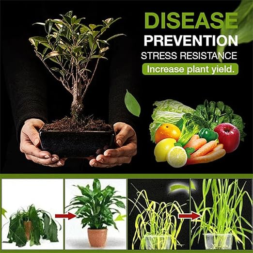 LIMETOW Premium Soil Activated Treasure - Organic Soil Activator & Plant Fertilizer for Raised Garden Beds, Potting Mix, and Seedling Compost (1Bottle)
