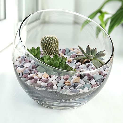 5 lbs Pea Gravel for Plants, Aquarium, Fish Tank, 3/8 inch Decorative Pebbles for Indoor Plants, Succulent, Bamboo, Vase, Drainage Rocks for Potted Plants, Top Dressing, Mixed Color