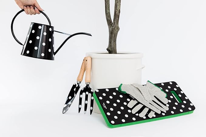 Kate Spade New York 2.5 Liter Indoor Watering Can, Metal Watering Can for House Plants, Cute Gardening Tool for Women, Picture Dot