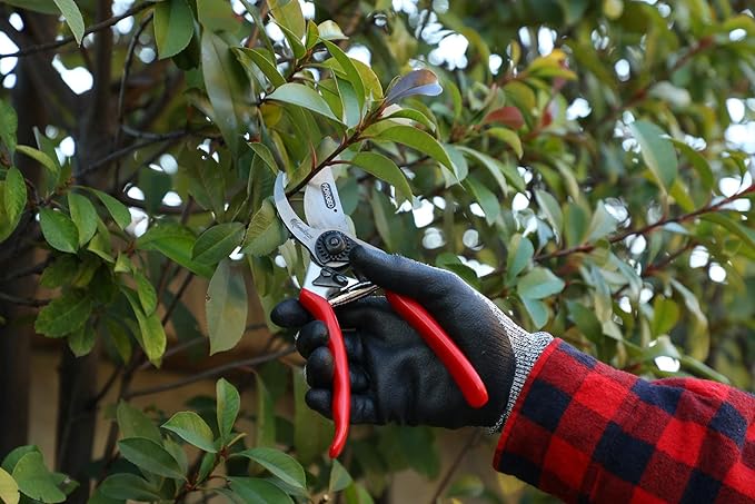 Kamikaze Pruning Shears KM-5 Forged Professional Thin Hand Pruners for Gardening. PVC Coated Aluminum Handles. Semi Professional Garden Clippers. Bypass pruning shears. Case is Included
