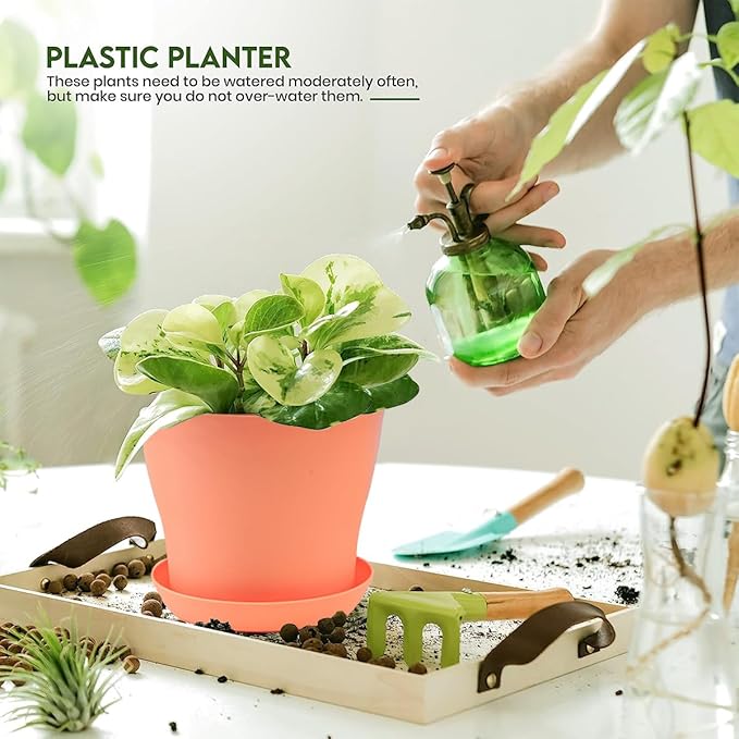 16Pack 5.5" Colorful Plastic Planters - 14CM Small Plastic Flower Pots with Drainage Holes and Tray for Home Garden Flowers Plants