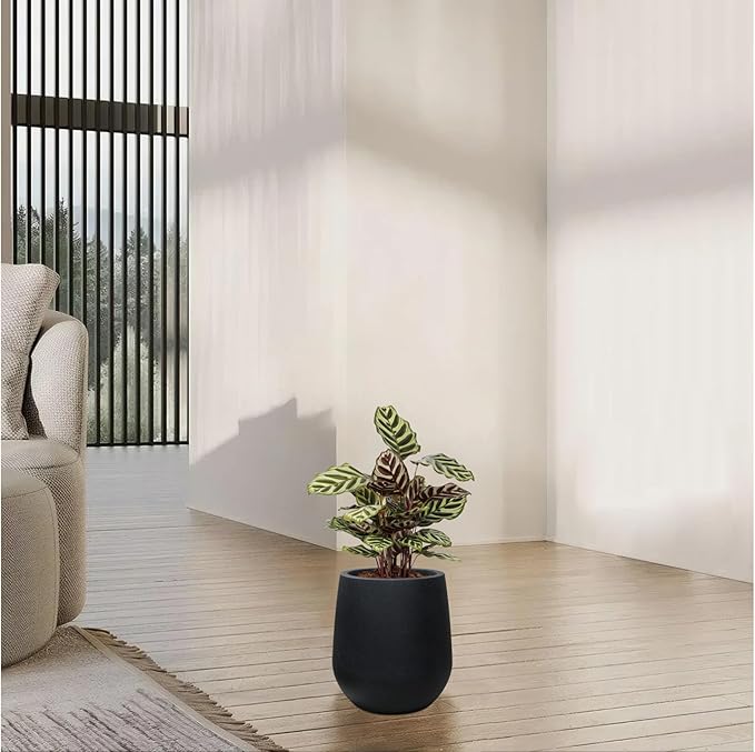 11.8" H Resin Tall Planters for Outdoor Plants, Modern Black Round Tapered Plastic Flower Pot for Outdoor and Indoor Plants, Large Plant Pot with Drainage Holes and Rubber Plug for Home Garden Patio