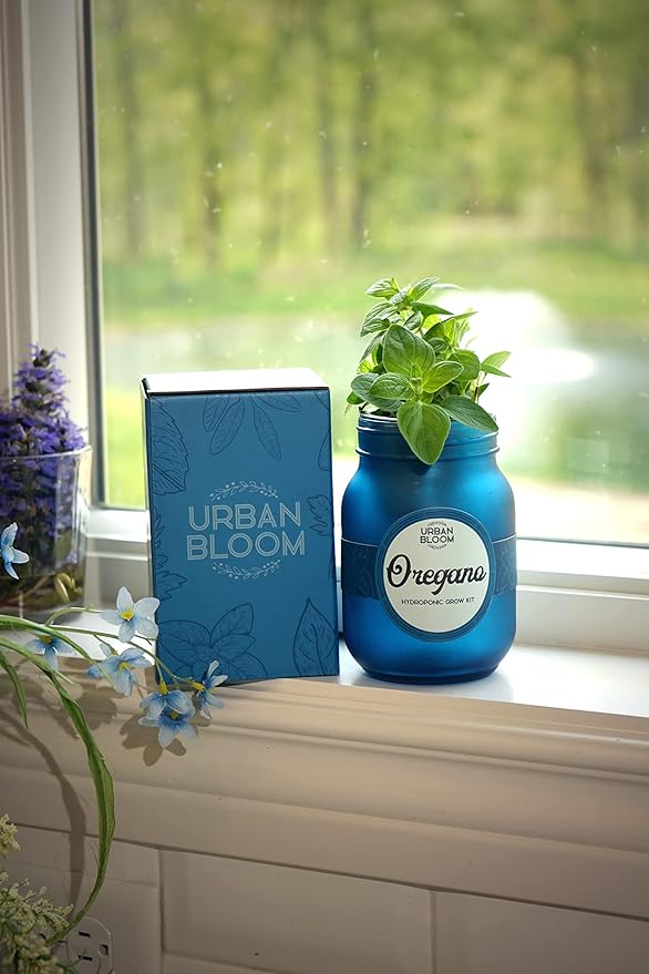 Hydroponic Herb Growing Kits - Fresh Oregano - Indoor Garden System in a Mason Jar - Herb Garden Kit for an Indoor Greenhouse - Indoor Plant Hydroponic Growing System w/Fresh Herb Seeds