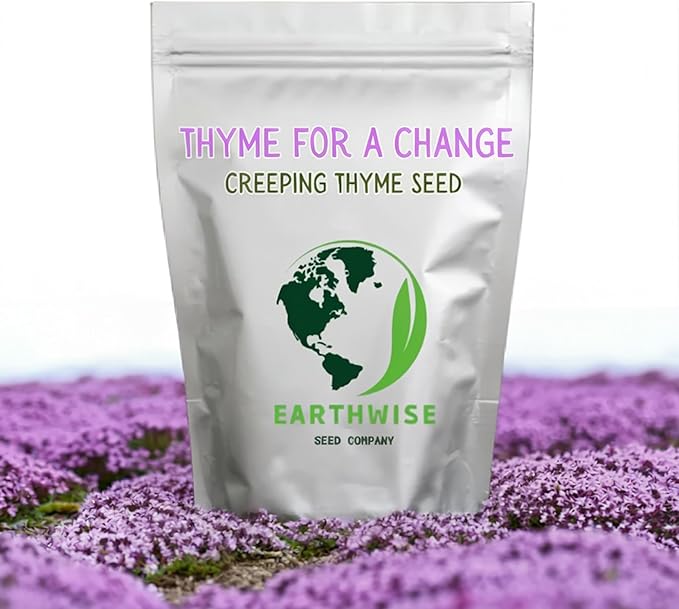 Thyme for a Change – Red Creeping Thyme Seed – 1 oz, Covers 500 sq ft (~16,000 Seeds)