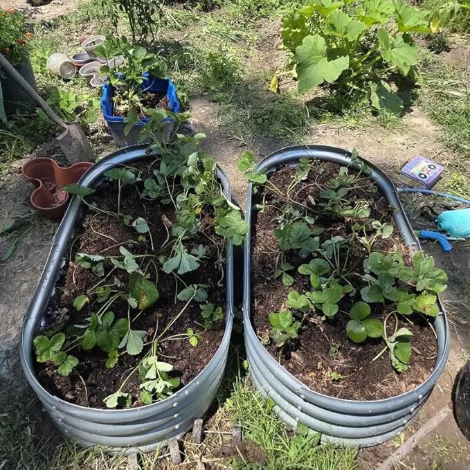 2-Pack 4x2x1FT Galvanized Raised Garden Bed Kit Oval Metal Ground Planter Box Outdoor Bottomless Planter Raised Beds for Vegetables Flowers Herbs Fruits, Silver