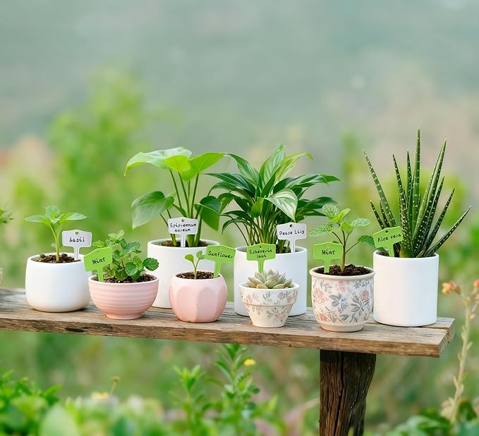 50pcs Plastic Plant T-Type Labels Garden Stake Markers Waterproof Plant Tags for Outdoor (White)