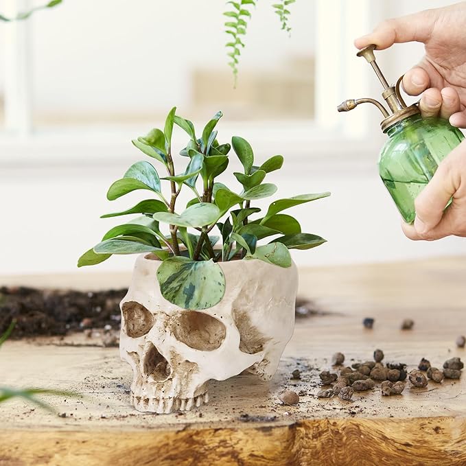 Skull Planter Pot for Plants - Realistic Human Skull Head Flower Pot, Halloween/Gothic Décor, Resin Planter for Succulents, Bonsai, Cactus, Home Bar, Desk, Spooky Gift Idea (Antique White)