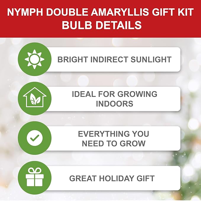 Garden State Bulb Galaxy Nymph Double Amaryllis Bulb Holiday Gift Kit, 26/28cm
