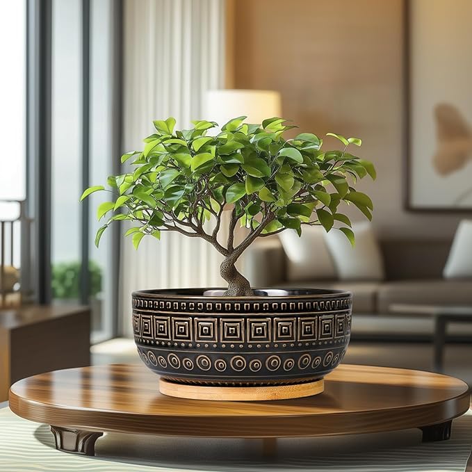 G EPGardening Bonsai Planter - 8 Inch Ceramic Succulent Pots with Drainage and Plant Saucer, Round Shallow Planter Bowl for Indoor Plants Flower, Boho Garden House Decor, Plant Lovers Gifts, Black