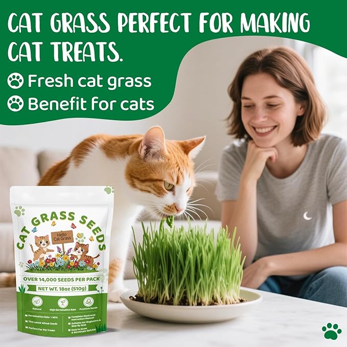 18oz Cat Grass Seeds Bulk - Over 14000+ Premium Cat Grass for Indoor Cats & Pets, High Germination Rate & Easy to Grow, Non-GMO Wheat Grass Seed for Planting(510g)