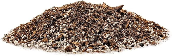 Gardenera Premium Spearmint Plant Potting Mix - Crafted for Thriving Spearmint Growth and Refreshing Aroma - 1 Quart