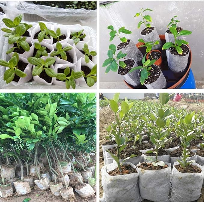 Belit 50 Pcs Non-Woven Plant Nursery Bags, Seedling Pots Container for Vegetable, Flower, Plant Grow (9.1"x9.3")