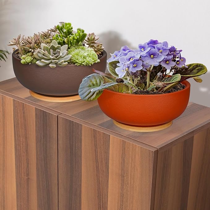 SQOWL 10 Inch Large Terracotta Planter Pot,Clay Succulent Bonsai Planter with Drainage Hole and Bamboo Saucer for Indoor Plants