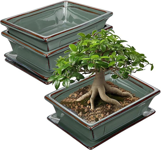Ceramic Bonsai Pots with Drainage Trays Set of 2, Green Glazed Bonsai Planters for Indoor/Outdoor Use, Rectangular Shallow Bonzai Tree Pot for Succulent, Orchids, Cacti, Home, Patio, Garden, 7.5"x5.5"