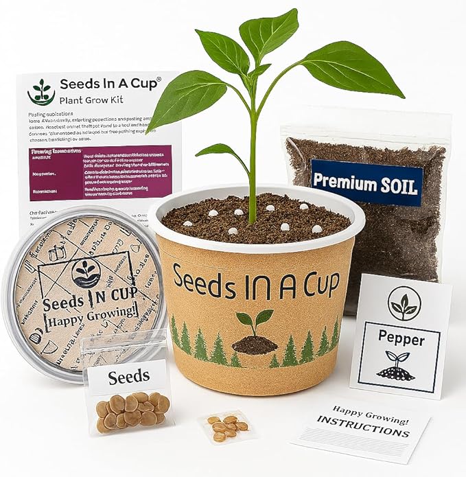 English Ivy Plant Starter Kit – Seeds In A Cup® Mini Greenhouse Indoor Gardening Kit for Beginners Easy Grow Ivy Seeds Clear Lid Planter Gift for Plant Lovers & Kids Made in USA