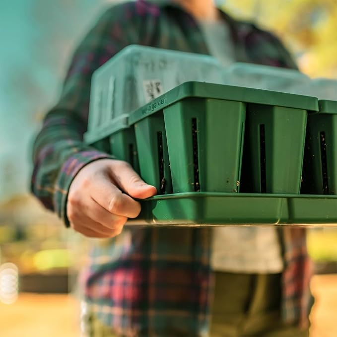 Vego garden Seedling Suite Products, 8 Pack Jumbo Seedling Trays with Seedling Tray Lids and 10" x 20" Bottom Watering Trays