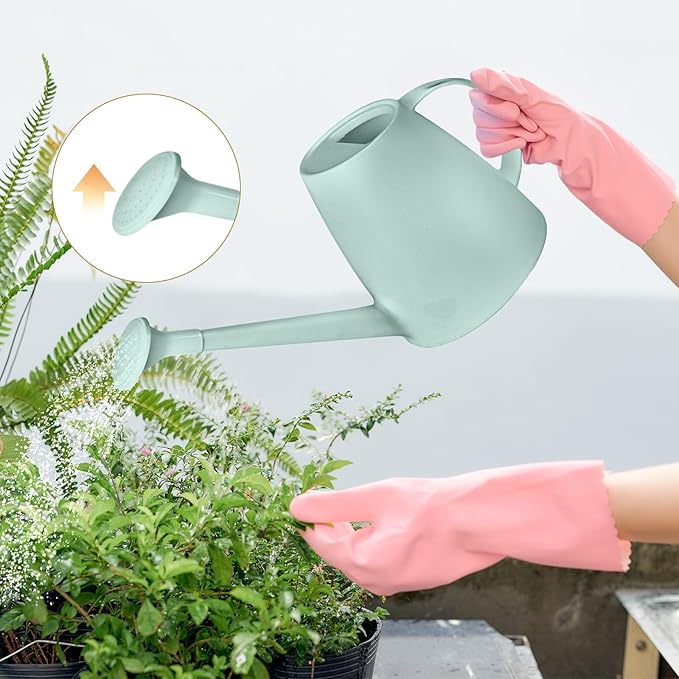 Watering Can - for Indoor and Outdoor House Plant Garden - with Long Spout - 1/2 Gallon - Light Green
