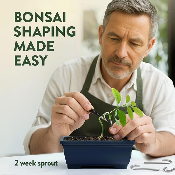 HOME GROWN Bonsai Tree Starter Kit – Unique Christmas Gift for Adults, Men & Women - Grow 4 Indoor Bonsai Trees from Seeds – Beginner DIY Crafts & Hobby Kit Gardening Gift for Plant Lovers, Mom & Dad