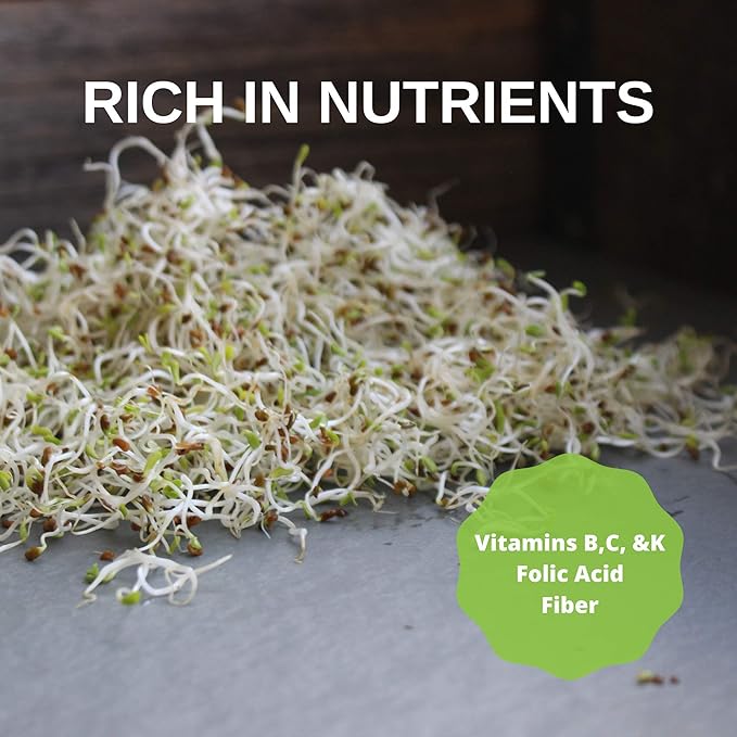 Certified Organic Alfalfa Sprouting Seed - 4 Oz - Handy Pantry Brand - High Sprout Germination- Edible Seeds, Gardening, Hydroponics, Growing Salad Sprouts, Planting, Food Storage & More