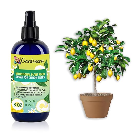 Gardenera Premium Nutritional Plant Food Spray for Citron - Balanced Nutrition Plant Superfood | Excellent Growth Booster for Citron Trees - 8oz