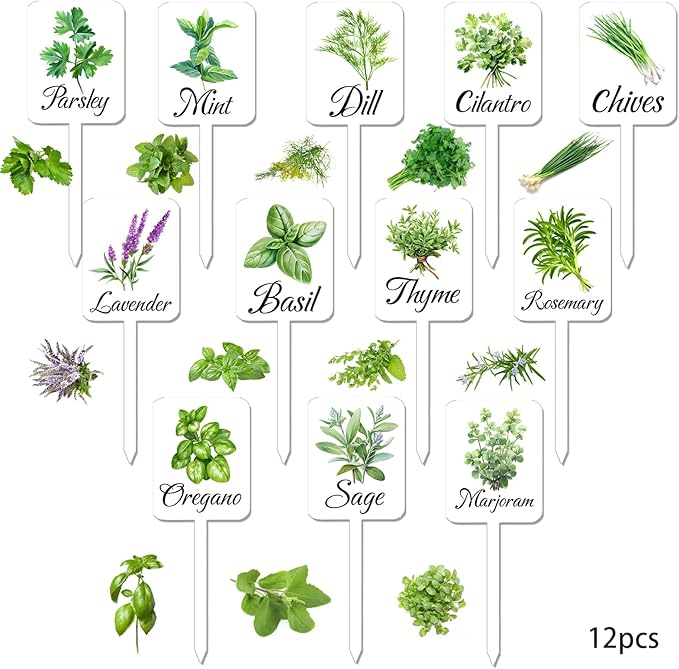 12Pcs Herb Garden Signs - 12 Styles Plant Labels with Names for Vegetables, Indoor/Outdoor Garden Decoration