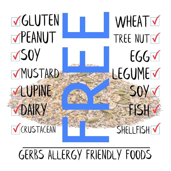 Gerbs Super 7 Seed Snack Mix 14 oz. | Raw, No Artificial Additives, Resealable Bag | Crunchy Pumpkin, Sunflower, Brown & Golden Flax, Black & White Chia, Hemp | Top 14 Allergen-Free