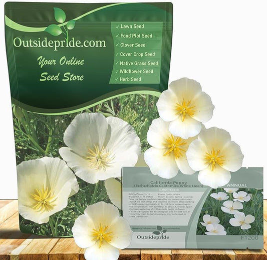 Outsidepride White Linen California Poppy Seeds - 1 Lb. Annual, Low Maintenance & Drought Tolerant Wildflower Seeds for Planting Vibrant Spring Blooms for Pollinator Gardens & Wildlife Habitats