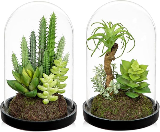 Set of 2 Artificial Succulents Plants in Glass Dome with Featuring Sand Moss, Small Fake Cactus Plants Faux Plants Indoor Decor for Home Office Table Desk Shelf Room Hostess Gift