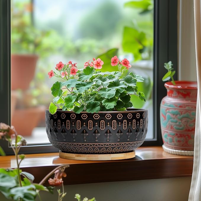 Bonsai Planter - 8 Inch Ceramic Pots for Plants Indoor, Shallow Round Succulent Bowl with Drainage Hole and Tray for Cactus, Boho Room Garden House Decor, Birthday Gifts, Black