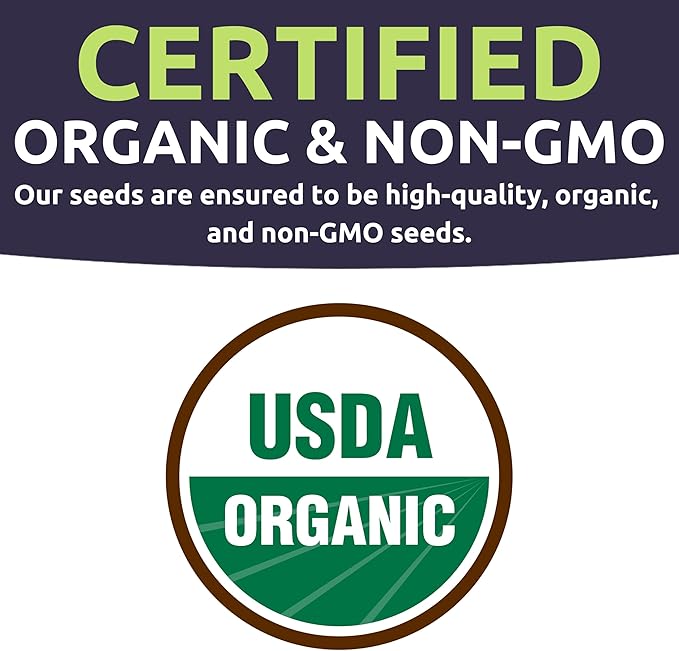 Organic Cucumber Seeds Variety Pack - 5 Individual Packs - 2026 Season - Marketmore 76, Sweet Burpless, Boston Pickling and More! for Indoor & Outdoor Planting (Non-GMO, Certified Organic)