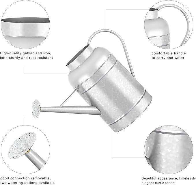 2.3 Gallon Metal Watering Can, Galvanized Watering Can for Outdoor Indoor Plants, Large Water Can for Plants and Garden Flower