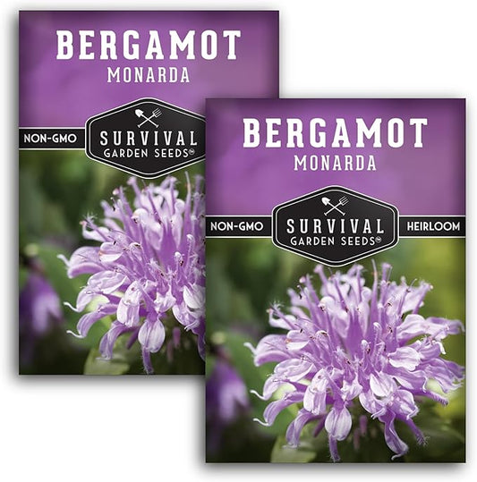 Bergamot Herb (Bee Balm) Seed for Planting - 2 Packets with Instructions to Grow Monarda Fistulosa Wildflowers in Your Home Vegetable Garden - Non-GMO Heirloom Variety - Survival Garden Seeds