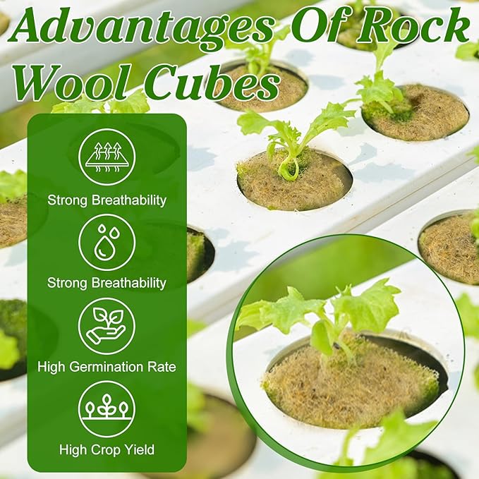 600 Pieces 1'' Rockwool Cubes for Hydroponics, Rock Wool Planting Cubes with 10 Plant Name Tags Rockwool Starter Plugs Mini Blocks for Soilless Cultivation Seedlings Cutting