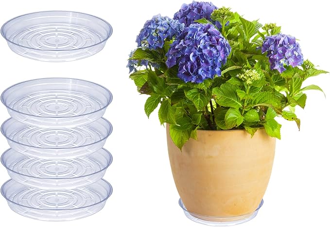 Curtis Wagner Plastics Drip Pan Plant Saucers (5-Pack) - Clear, Round (Diameter: 9" Base, 10" Top, 1.25" Depth) Thin Plastic Planter to be Used as Indoor Pot & for Outdoor Plant Pots
