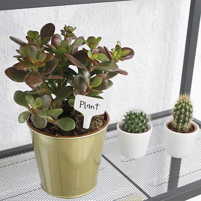 Foraineam 500 Pcs 6 x 10cm (2.4 x 4 inch) T-Type Plant Labels Plastic Plant Tags Nursery Garden Labels (Pack of 2)