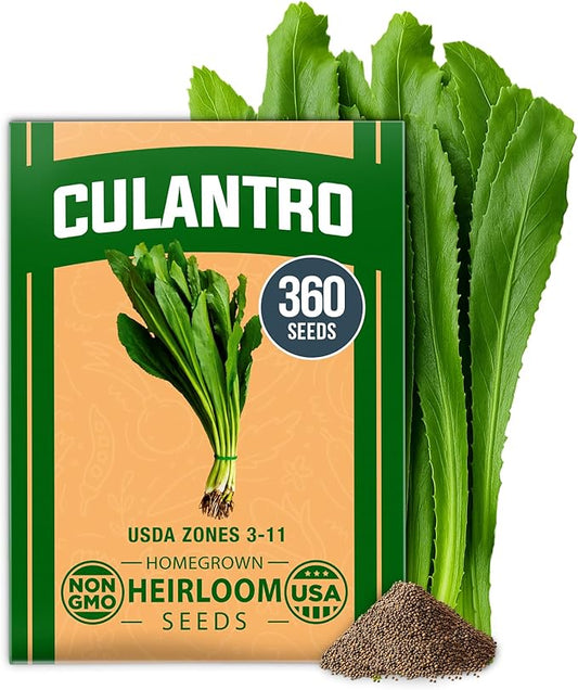 HOME GROWN Culantro Seeds 360 Herb Seeds for Planting Non-GMO Heirloom Variety, Robust Flavor, Thrives in Heat, Grows Indoors or Outdoors, Cilantro Substitute (Eryngium Foetidum)