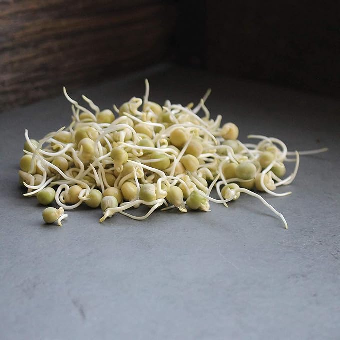 Green Pea Sprouting Seed - 2.5 Lb - Handy Pantry Brand - Green Pea for Sprouts, Garden Planting, Cooking, Soup, Emergency Food Storage, Vegetable Gardening