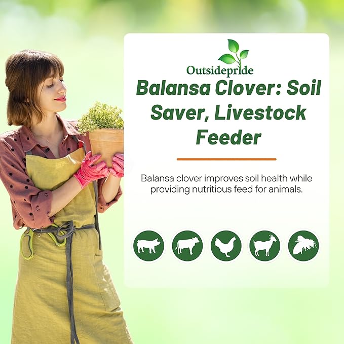 Outsidepride Fixation Balansa Clover Seeds for Lawn - 5 lbs. Coated & Inoculated, Cold Season, Drought Tolerant Cover Crop Seeds, Ideal for Erosion Control, Pasture, & Pollinator-Friendly Garden