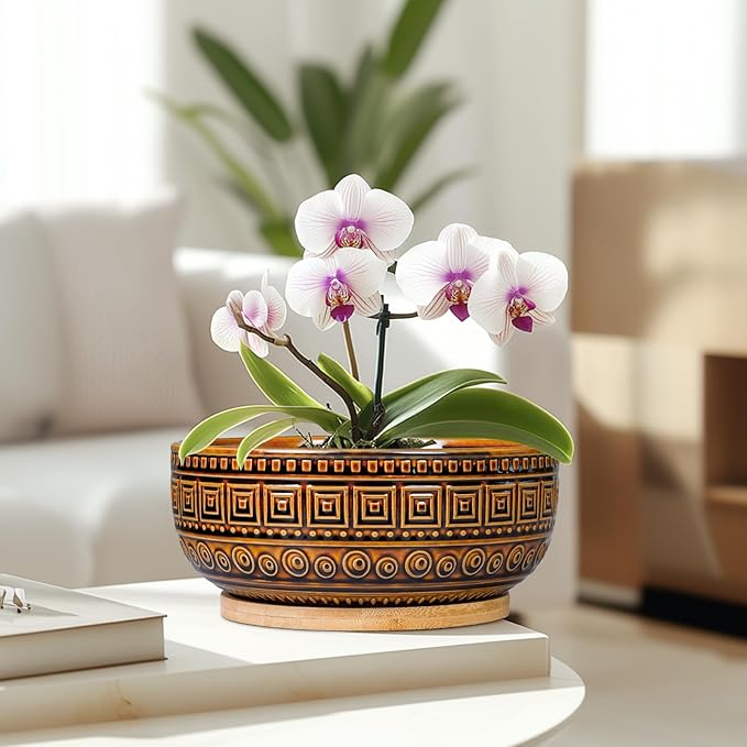 G EPGardening Bonsai Pots- 8 Inch Ceramic Succulent Planter with Drainage and Plant Saucer, Shallow Round Planter Bowl for Indoor Plants Flower, Boho Room Decor, Birthday Gifts, Brown